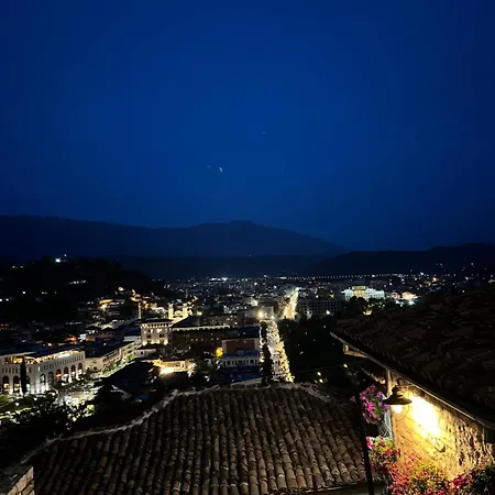 בית הארחה Lion